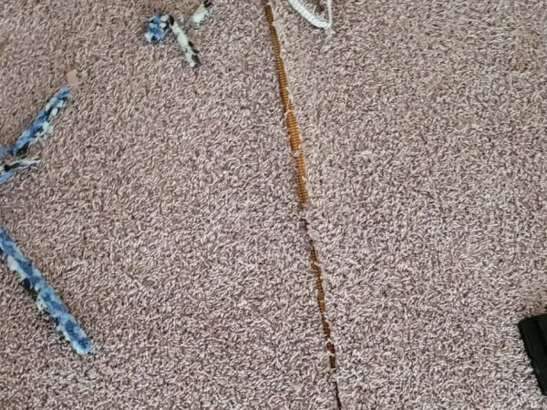 DMG Carpet Repair-Before